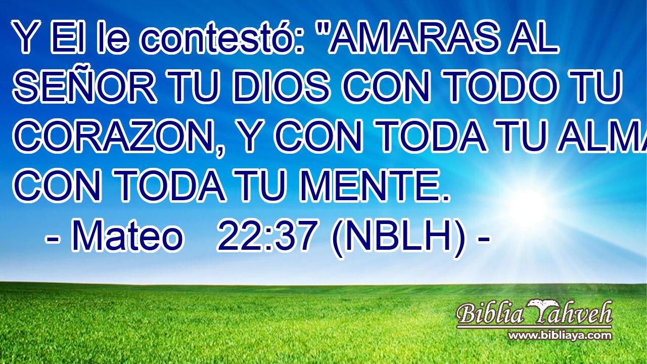  Y El le contestó: 