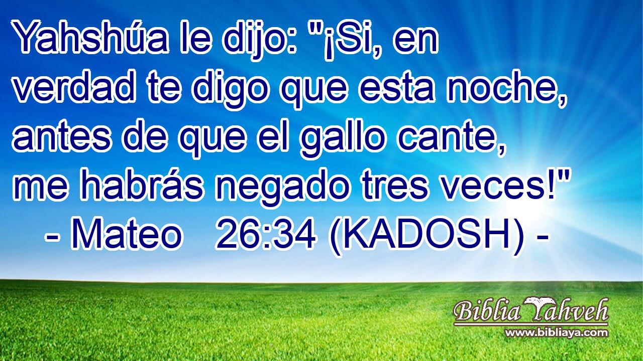 Yahshúa le dijo: 