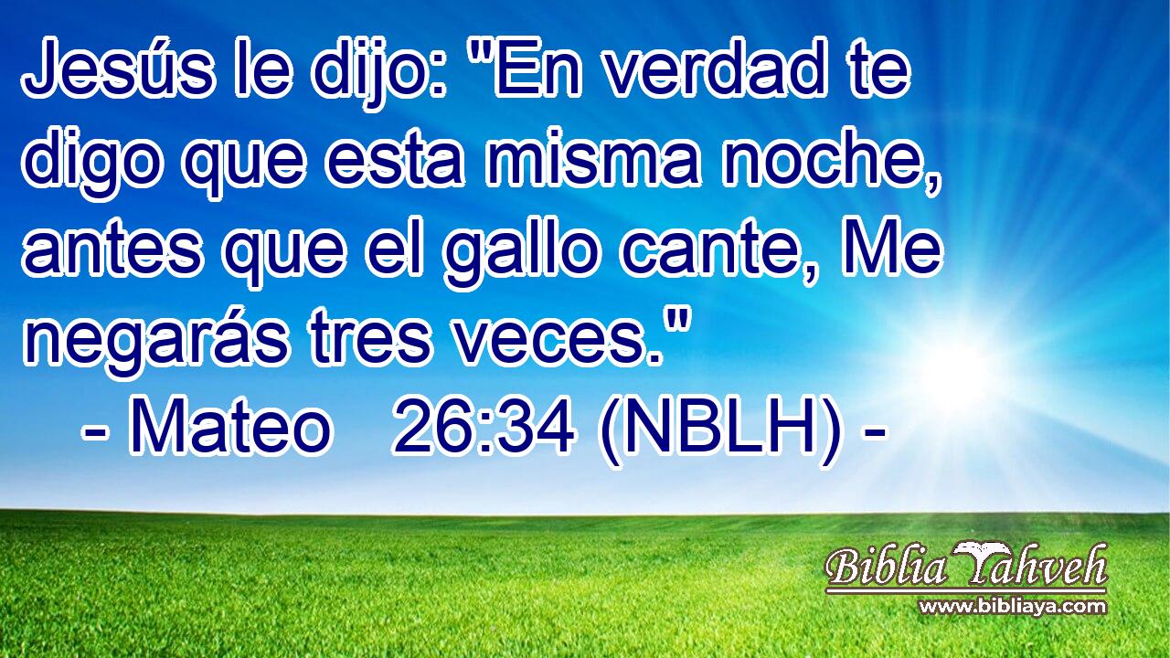  Jesús le dijo: 