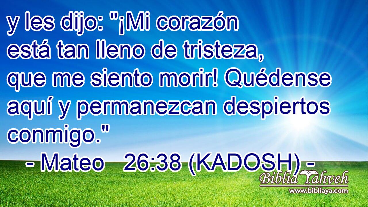  y les dijo: 