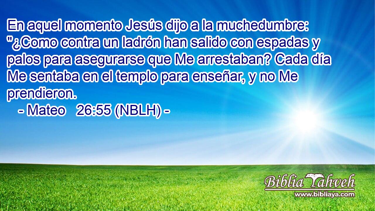  En aquel momento Jesús dijo a la muchedumbre: 