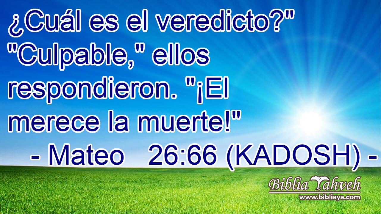  ¿Cuál es el veredicto?