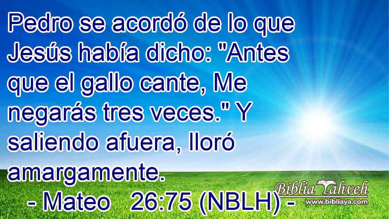 Pedro se acordó de lo que Jesús había dicho: 