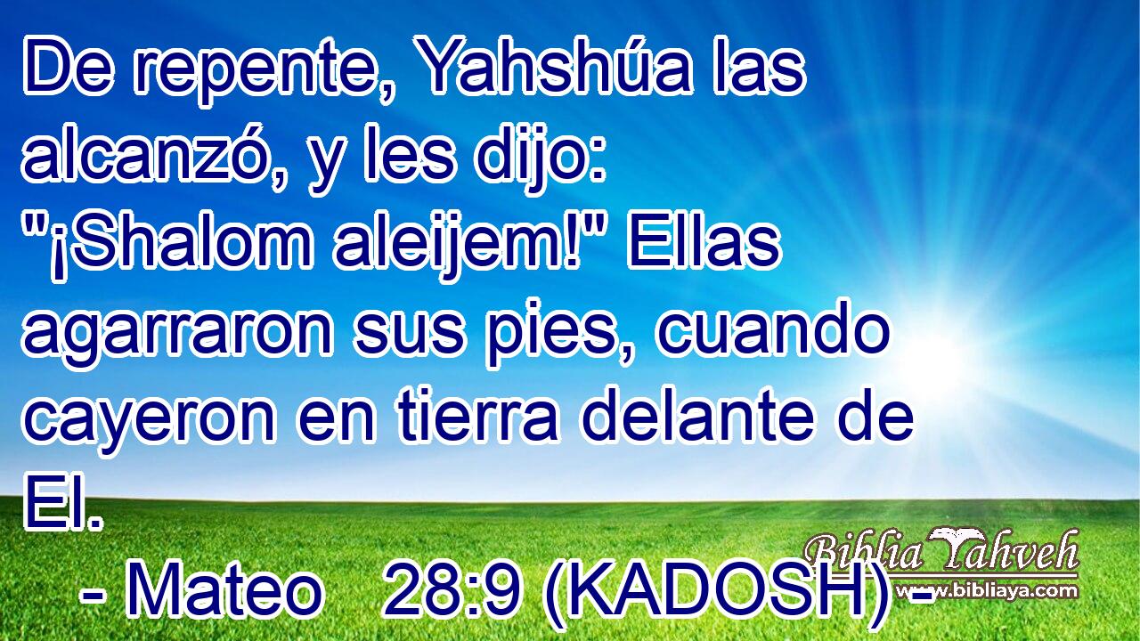  De repente, Yahshúa las alcanzó, y les dijo: 
