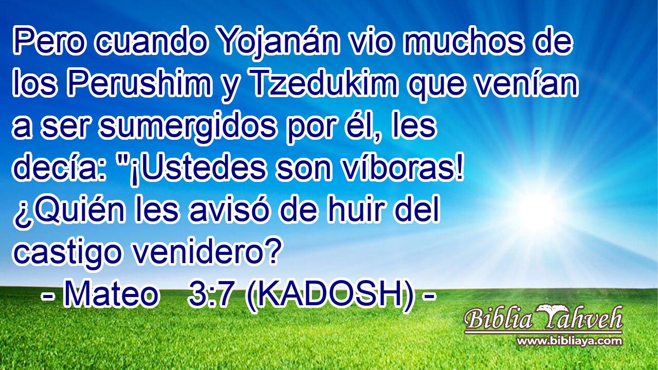  Pero cuando Yojanán vio muchos de los Perushim y Tzedukim que venían a ser sumergidos por él, les decía: 