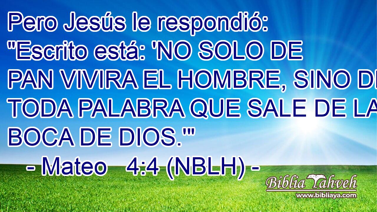  Pero Jesús le respondió: 