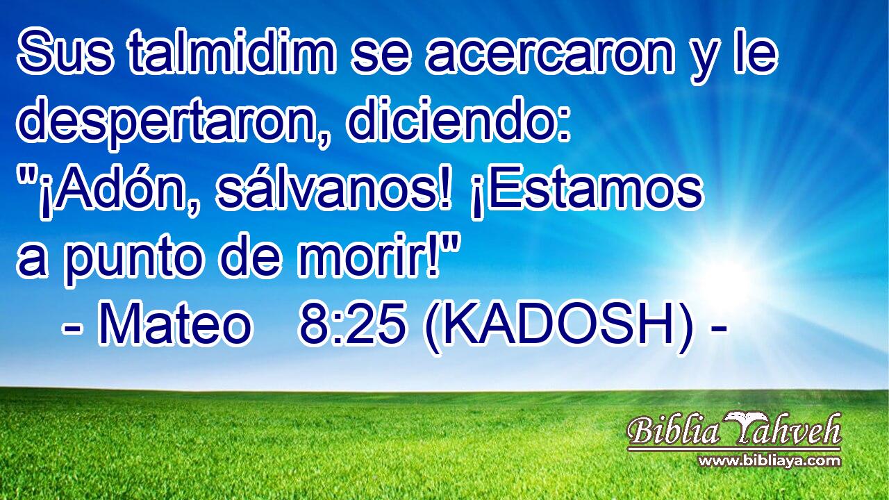  Sus talmidim se acercaron y le despertaron, diciendo: 