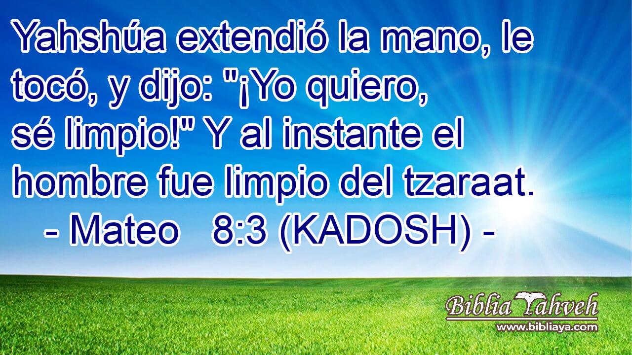  Yahshúa extendió la mano, le tocó, y dijo: 