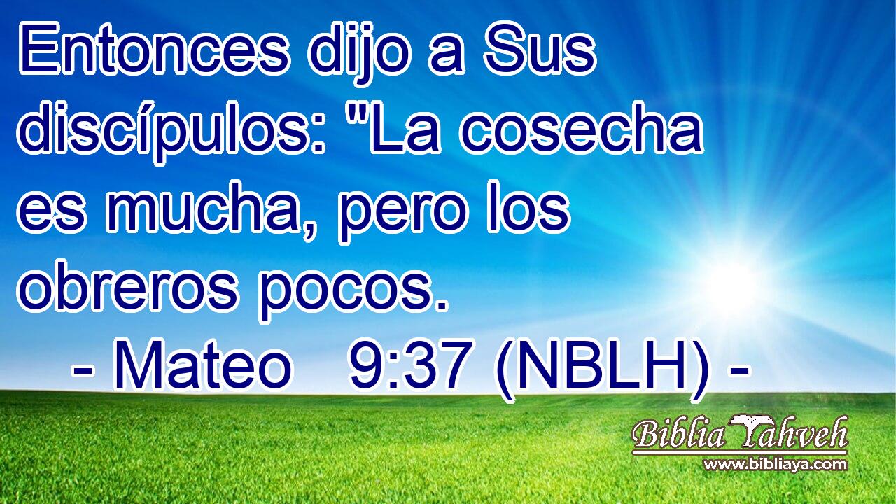  Entonces dijo a Sus discípulos: 