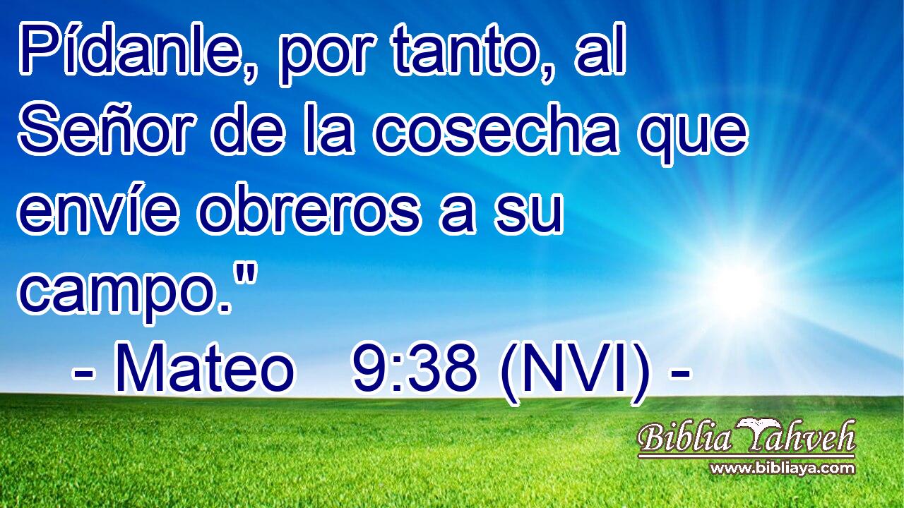  Pídanle, por tanto, al Señor de la cosecha que envíe obreros a su campo.