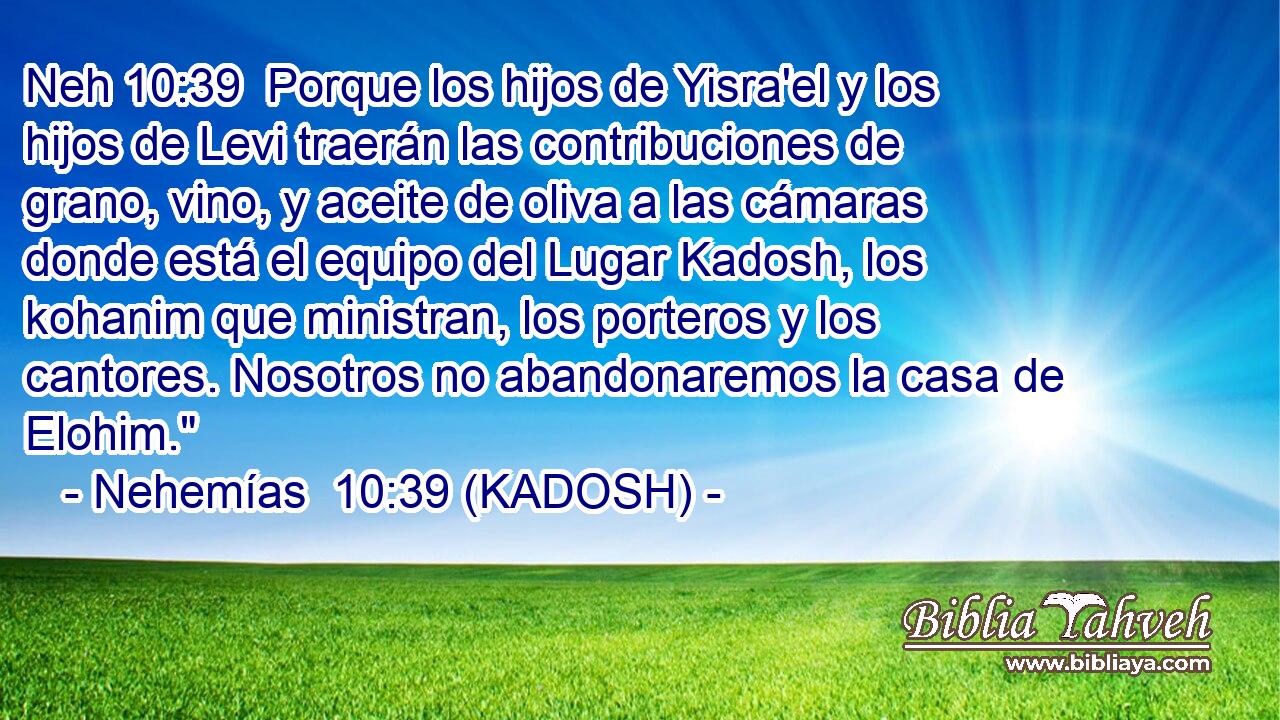  Porque los hijos de Yisra'el y los hijos de Levi traerán las contribuciones de grano, vino, y aceite de oliva a las cámaras donde está el equipo del Lugar Kadosh, los kohanim que ministran, los porteros y los cantores. Nosotros no abandonaremos la casa de Elohim.