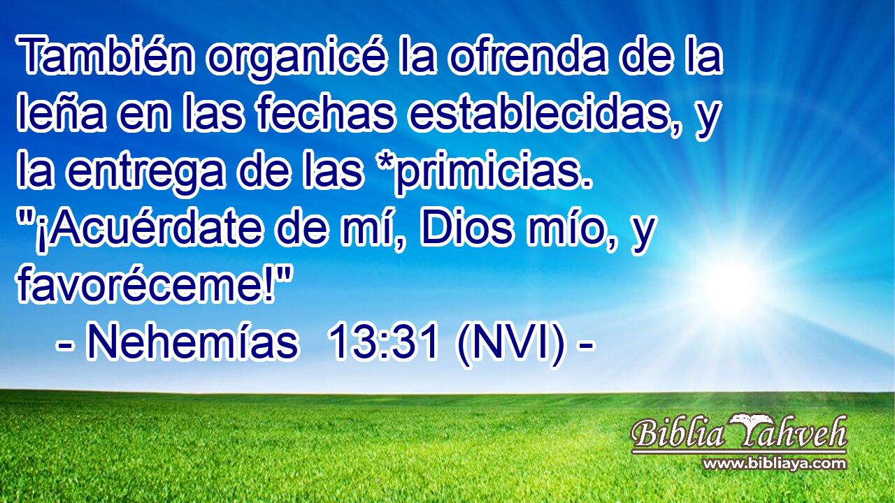  También organicé la ofrenda de la leña en las fechas establecidas, y la entrega de las *primicias. 