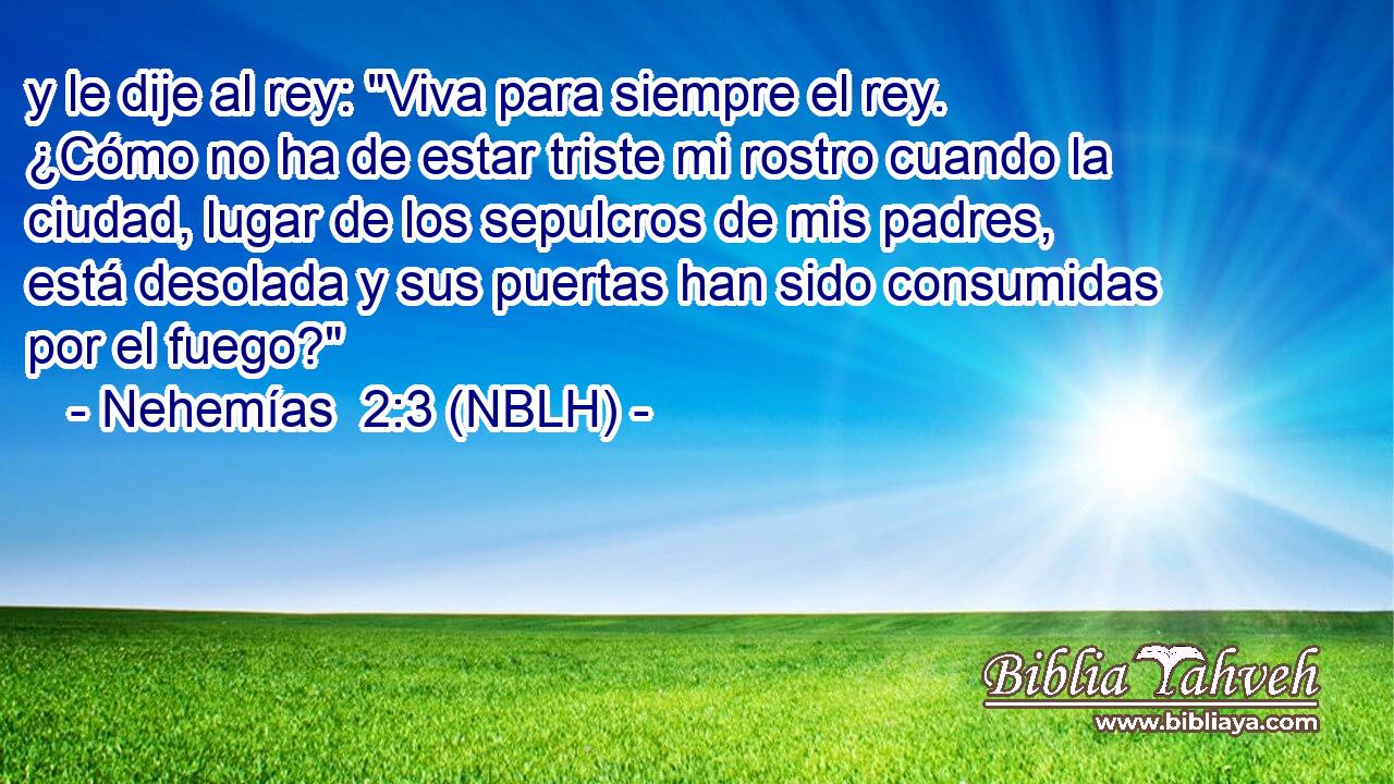  y le dije al rey: 