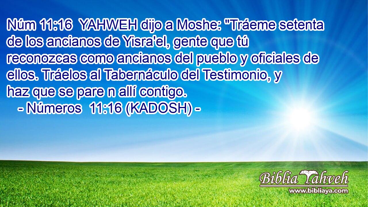  YAHWEH dijo a Moshe: 