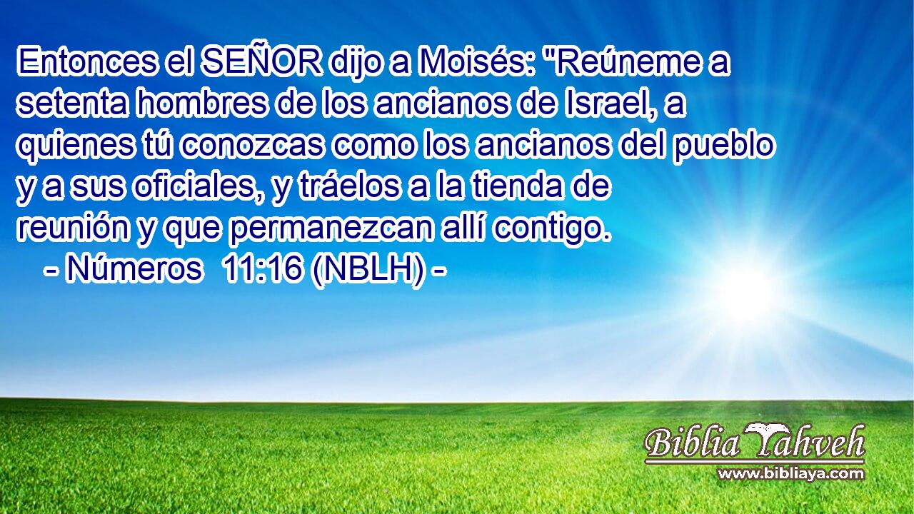  Entonces el SEÑOR dijo a Moisés: 