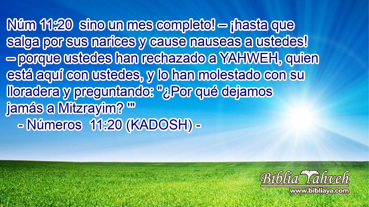  sino un mes completo! – ¡hasta que salga por sus narices y cause nauseas a ustedes! – porque ustedes han rechazado a YAHWEH, quien está aquí con ustedes, y lo han molestado con su lloradera y preguntando: 