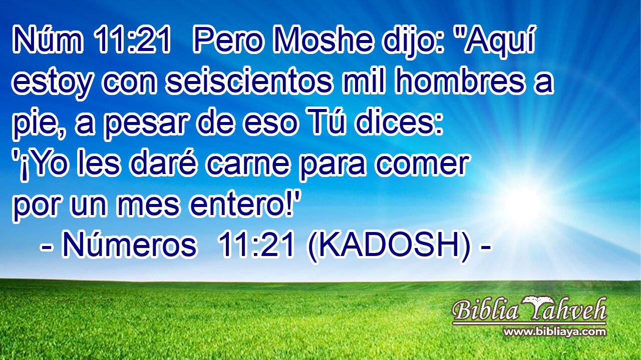  Pero Moshe dijo: 