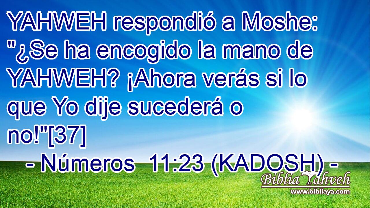  YAHWEH respondió a Moshe: 