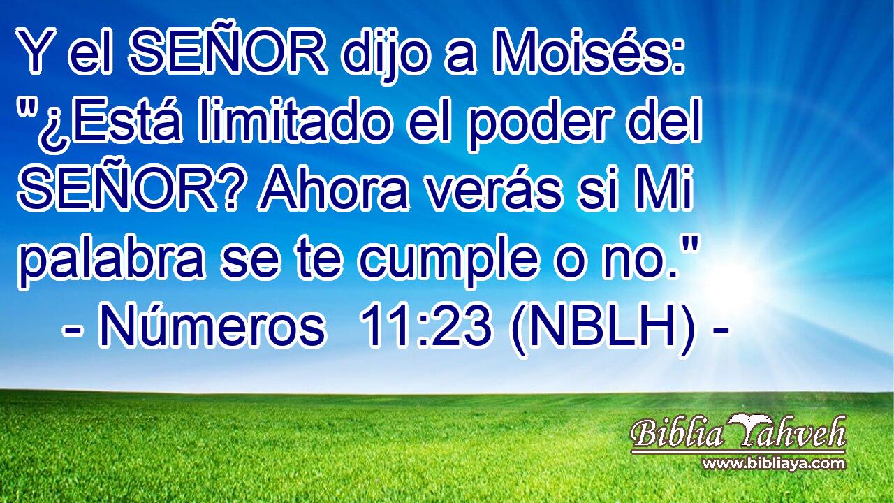  Y el SEÑOR dijo a Moisés: 