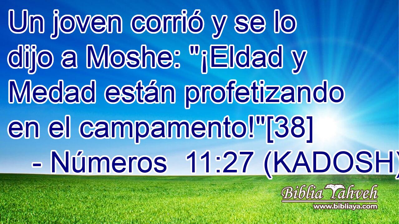  Un joven corrió y se lo dijo a Moshe: 