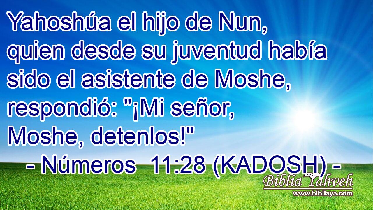  Yahoshúa el hijo de Nun, quien desde su juventud había sido el asistente de Moshe, respondió: 