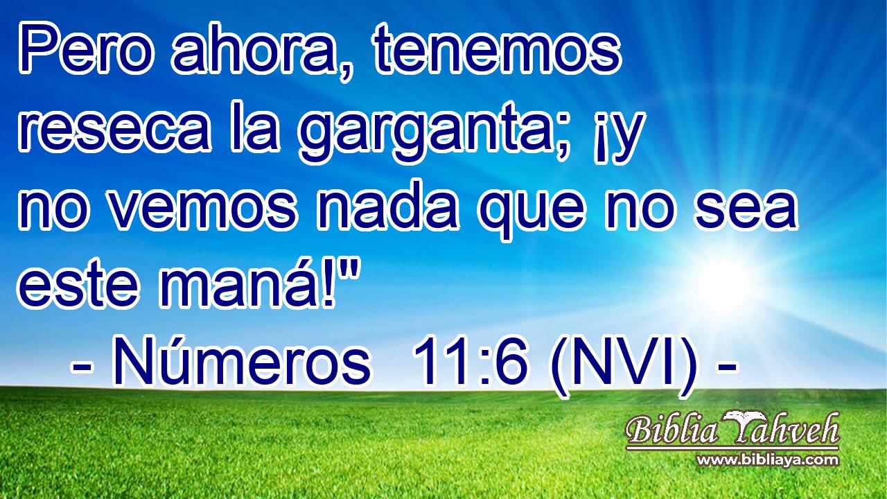  Pero ahora, tenemos reseca la garganta; ¡y no vemos nada que no sea este maná!