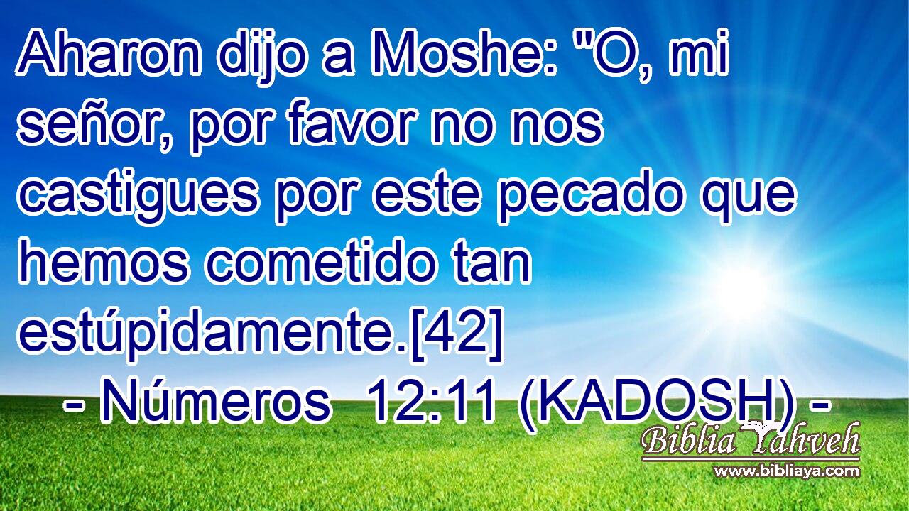  Aharon dijo a Moshe: 