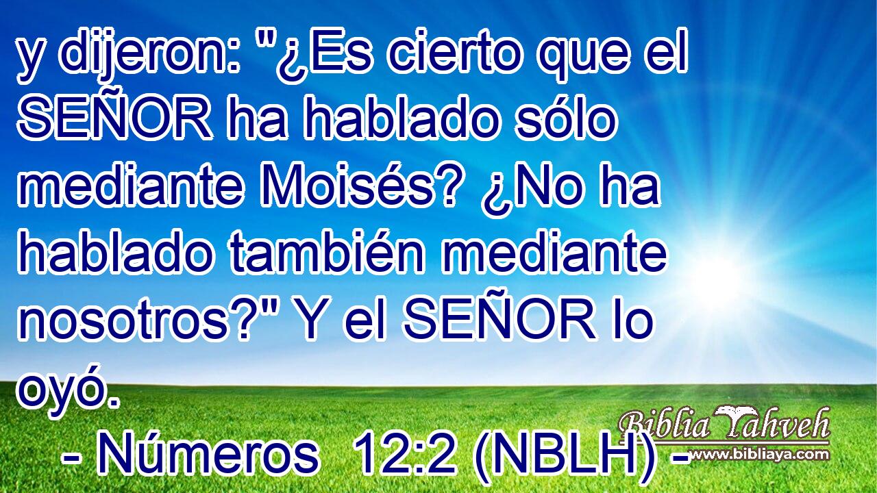  y dijeron: 