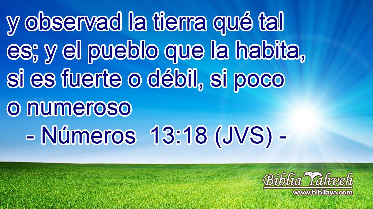y observad la tierra qué tal es; y el pueblo que la habita, si es fuerte o débil, si poco o numeroso