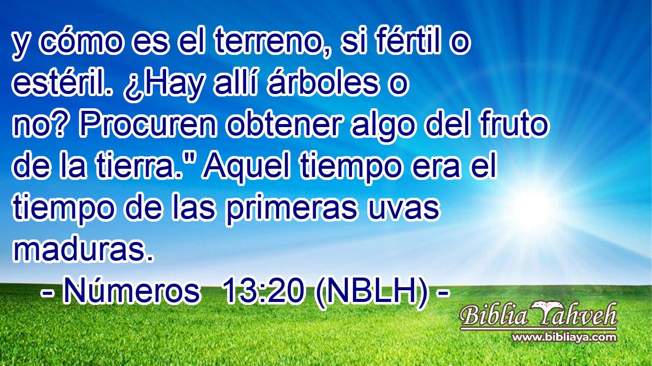  y cómo es el terreno, si fértil o estéril. ¿Hay allí árboles o no? Procuren obtener algo del fruto de la tierra.