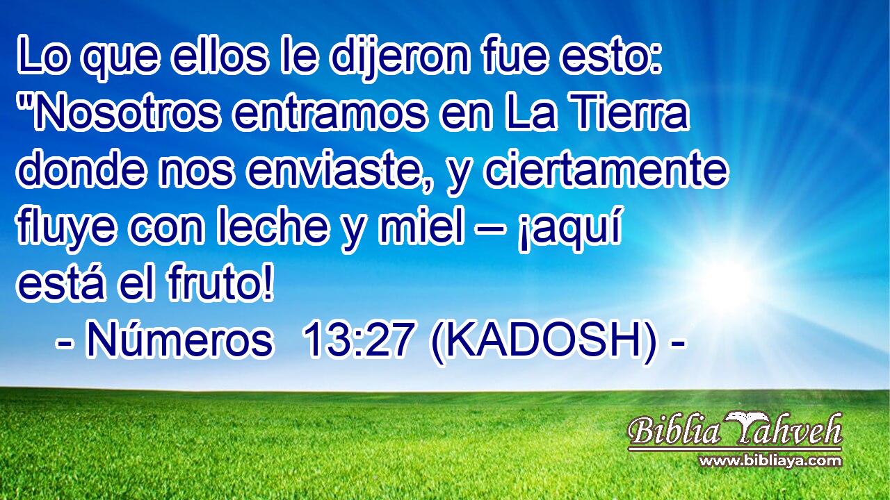  Lo que ellos le dijeron fue esto: 