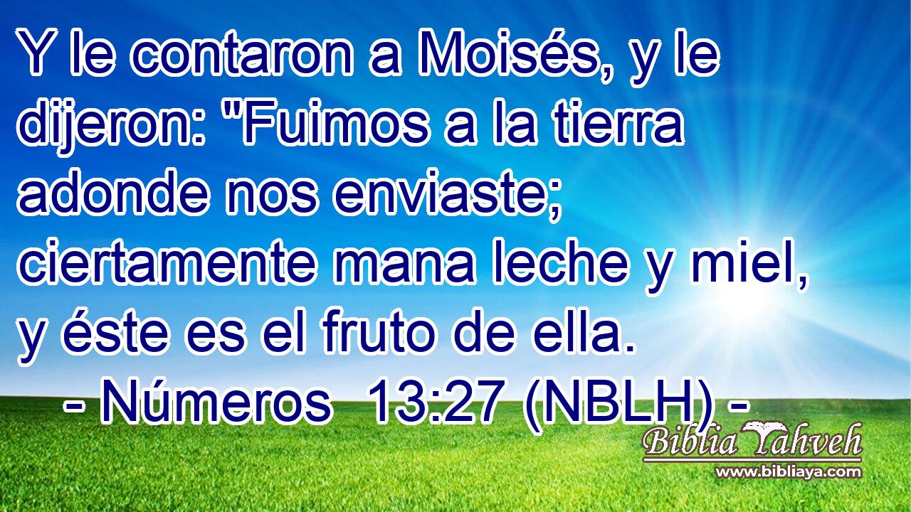  Y le contaron a Moisés, y le dijeron: 