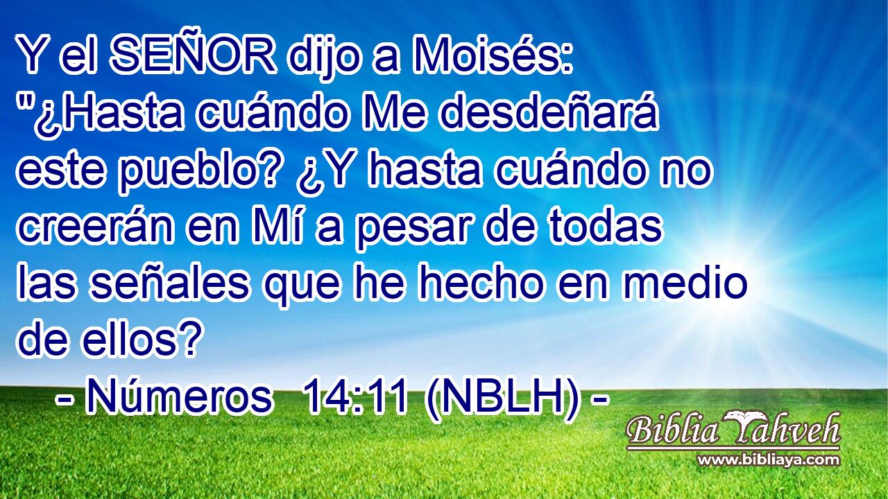  Y el SEÑOR dijo a Moisés: 