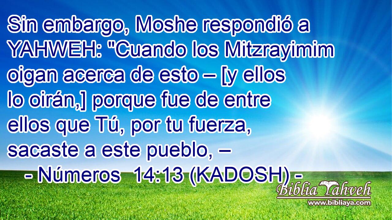 Sin embargo, Moshe respondió a YAHWEH: 