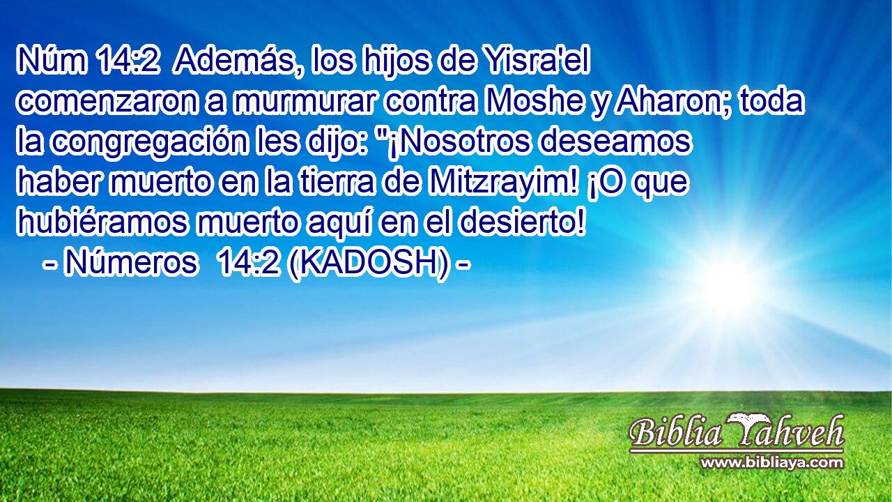  Además, los hijos de Yisra'el comenzaron a murmurar contra Moshe y Aharon; toda la congregación les dijo: 