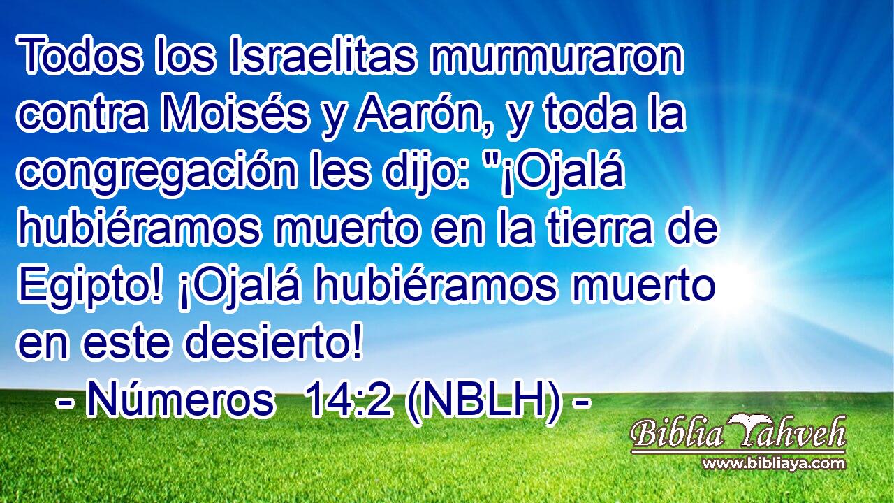  Todos los Israelitas murmuraron contra Moisés y Aarón, y toda la congregación les dijo: 