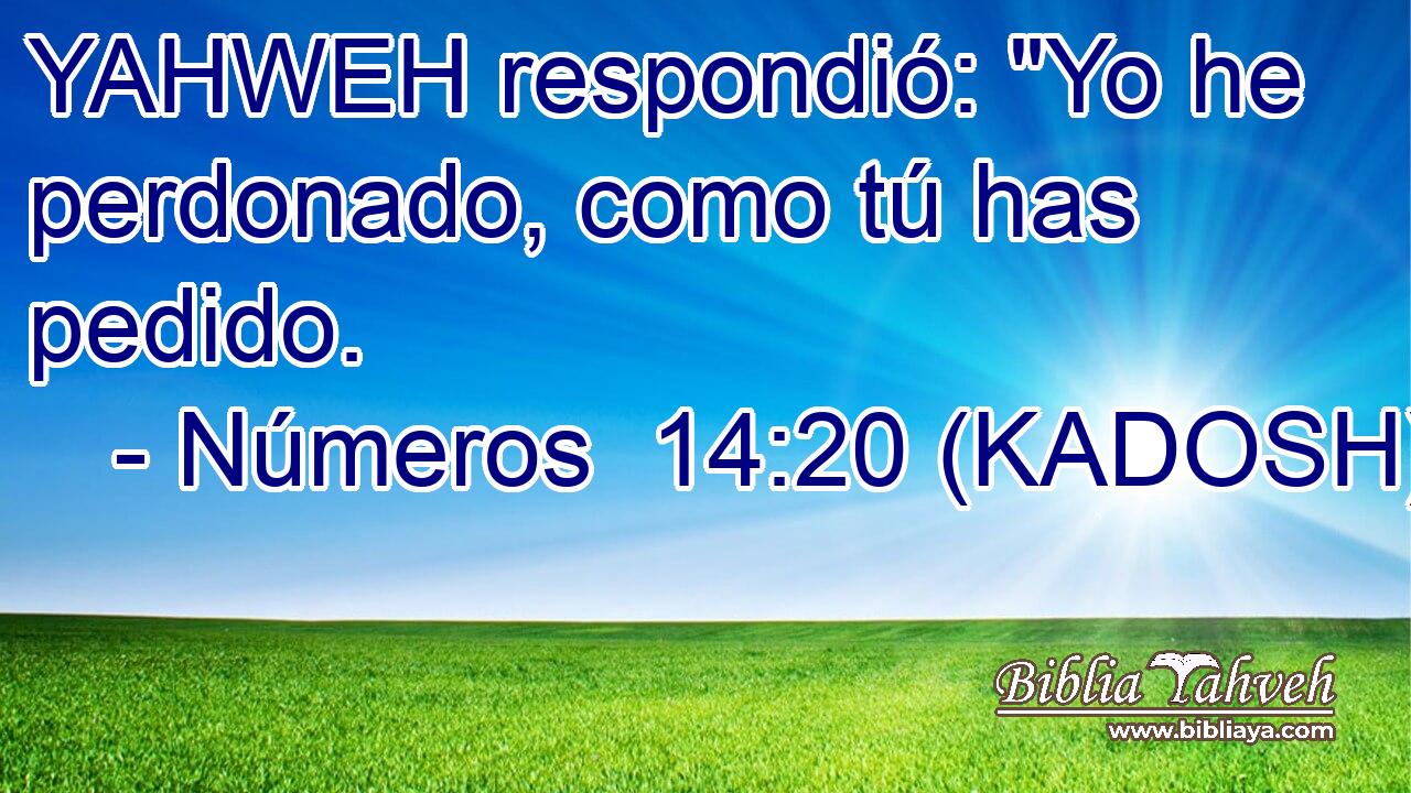  YAHWEH respondió: 