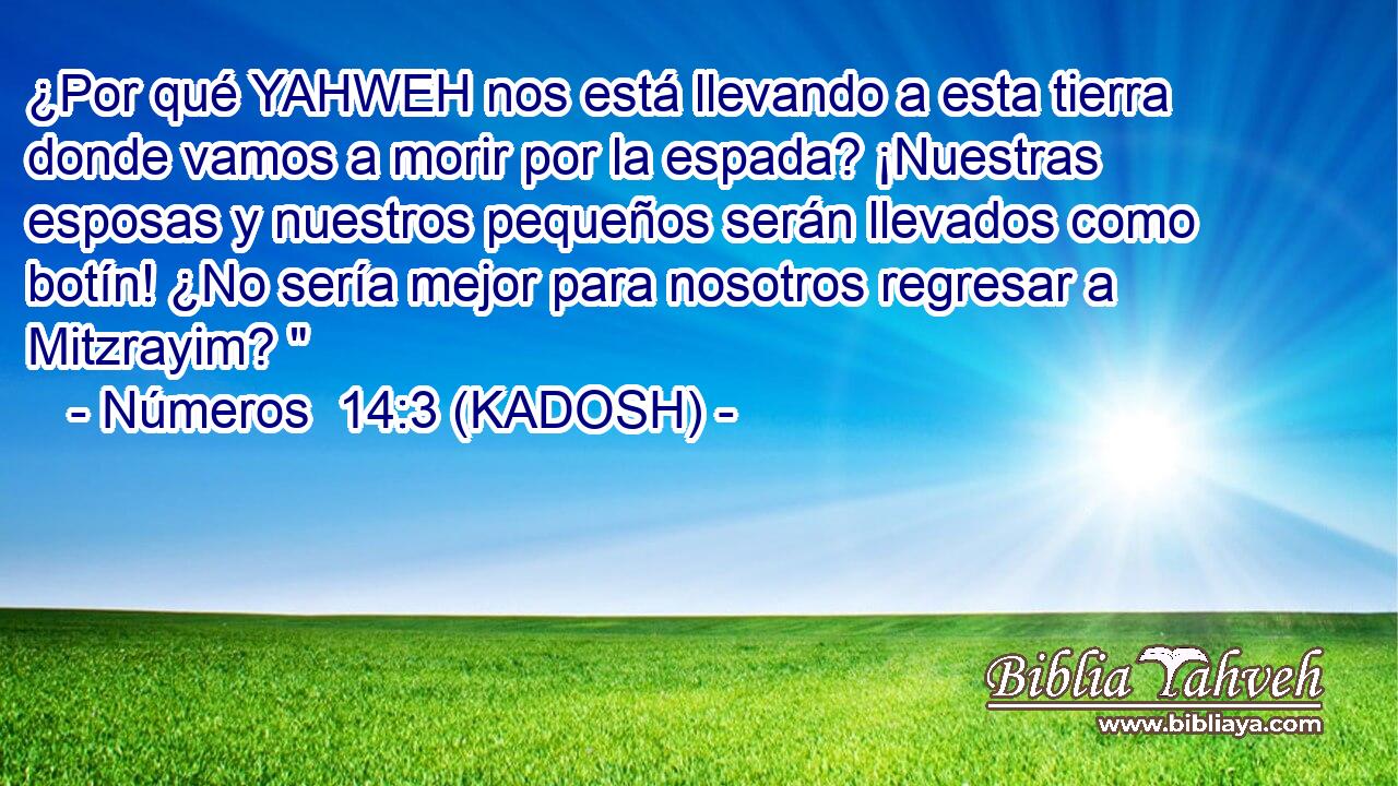  ¿Por qué YAHWEH nos está llevando a esta tierra donde vamos a morir por la espada? ¡Nuestras esposas y nuestros pequeños serán llevados como botín! ¿No sería mejor para nosotros regresar a Mitzrayim? 