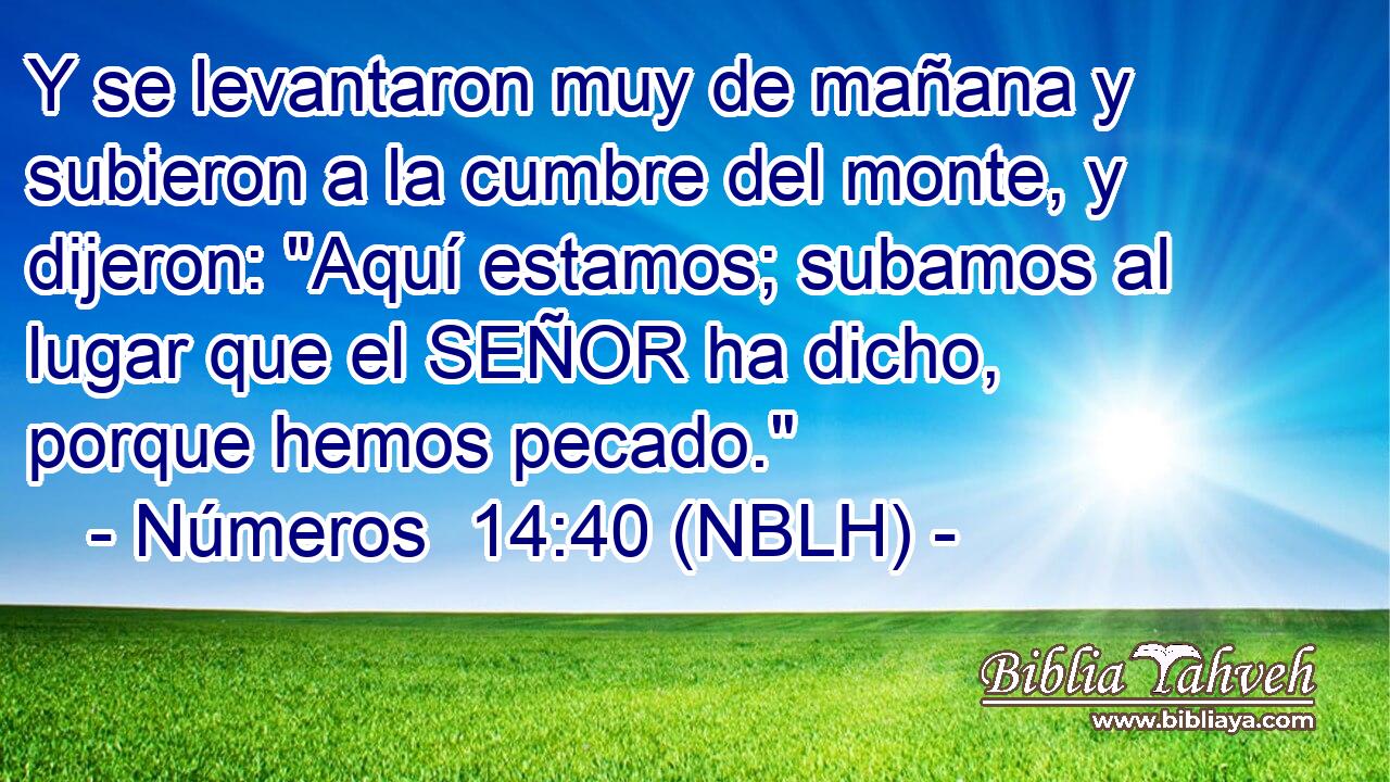  Y se levantaron muy de mañana y subieron a la cumbre del monte, y dijeron: 