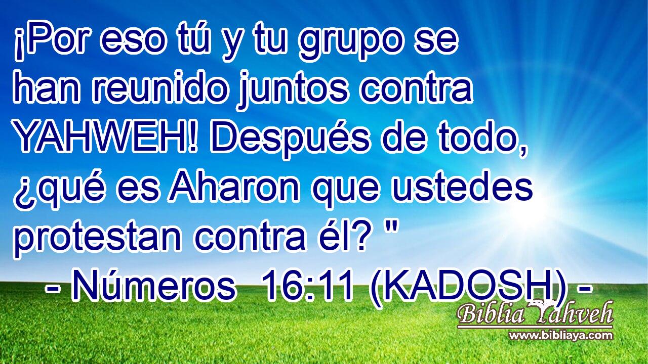  ¡Por eso tú y tu grupo se han reunido juntos contra YAHWEH! Después de todo, ¿qué es Aharon que ustedes protestan contra él? 