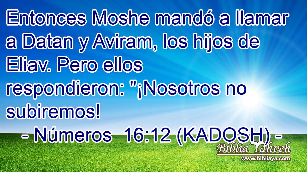  Entonces Moshe mandó a llamar a Datan y Aviram, los hijos de Eliav. Pero ellos respondieron: 