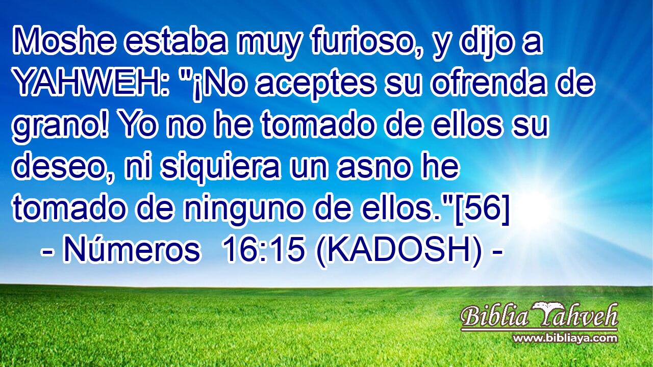  Moshe estaba muy furioso, y dijo a YAHWEH: 