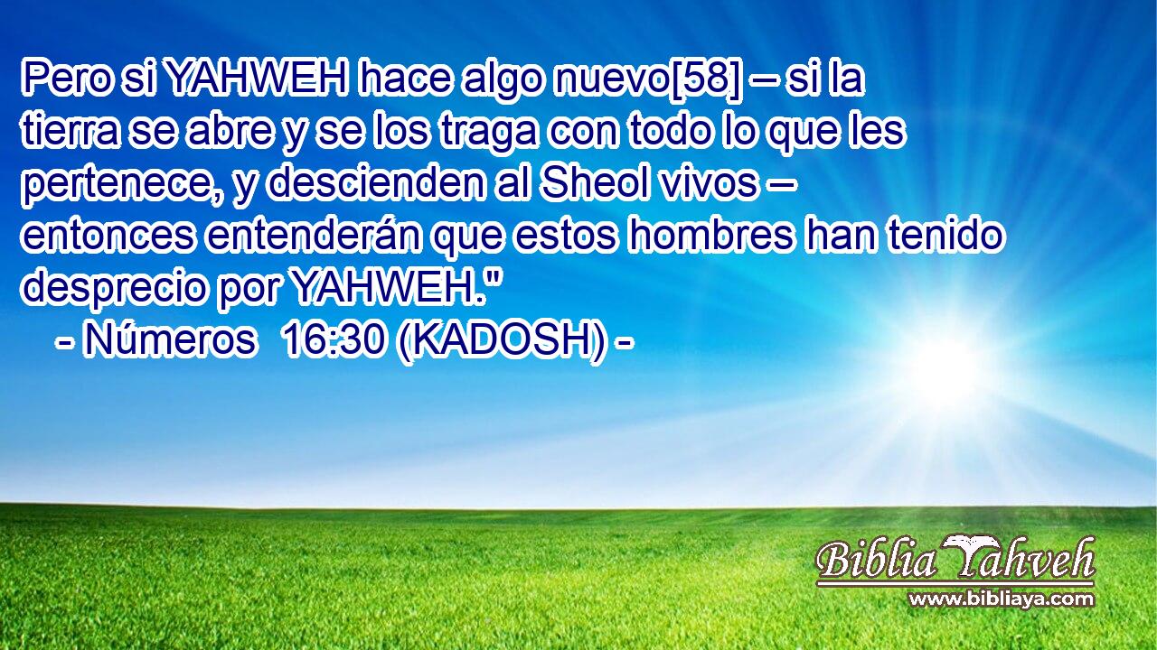  Pero si YAHWEH hace algo nuevo[58] – si la tierra se abre y se los traga con todo lo que les pertenece, y descienden al Sheol vivos – entonces entenderán que estos hombres han tenido desprecio por YAHWEH.