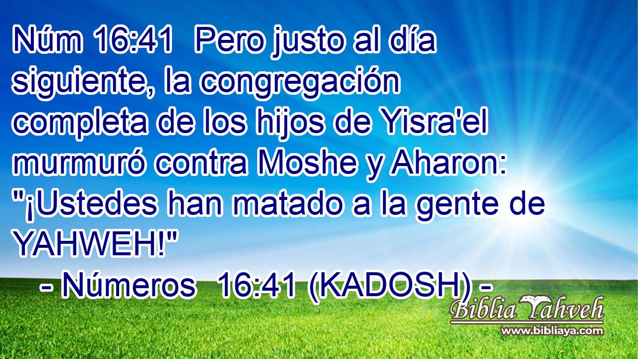  Pero justo al día siguiente, la congregación completa de los hijos de Yisra'el murmuró contra Moshe y Aharon: 