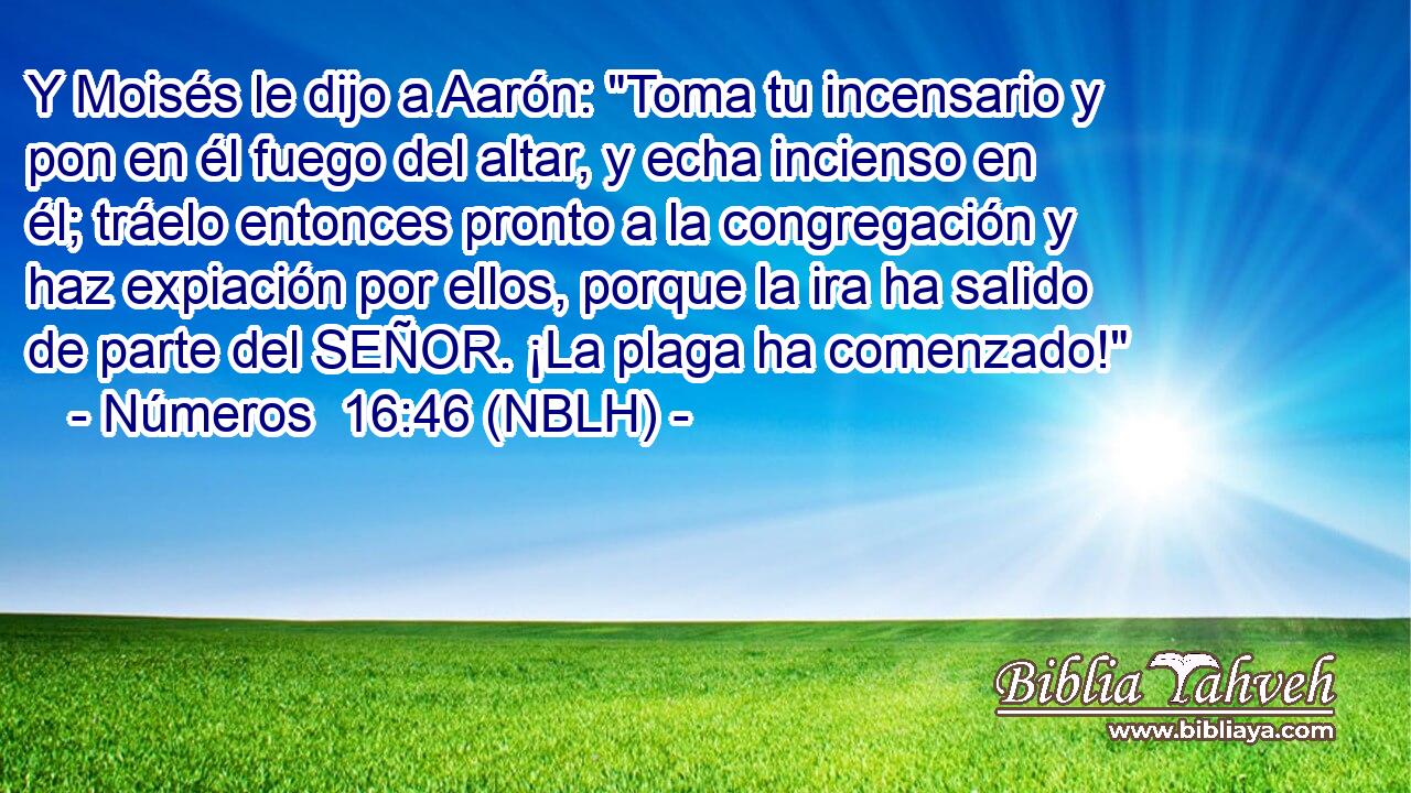  Y Moisés le dijo a Aarón: 