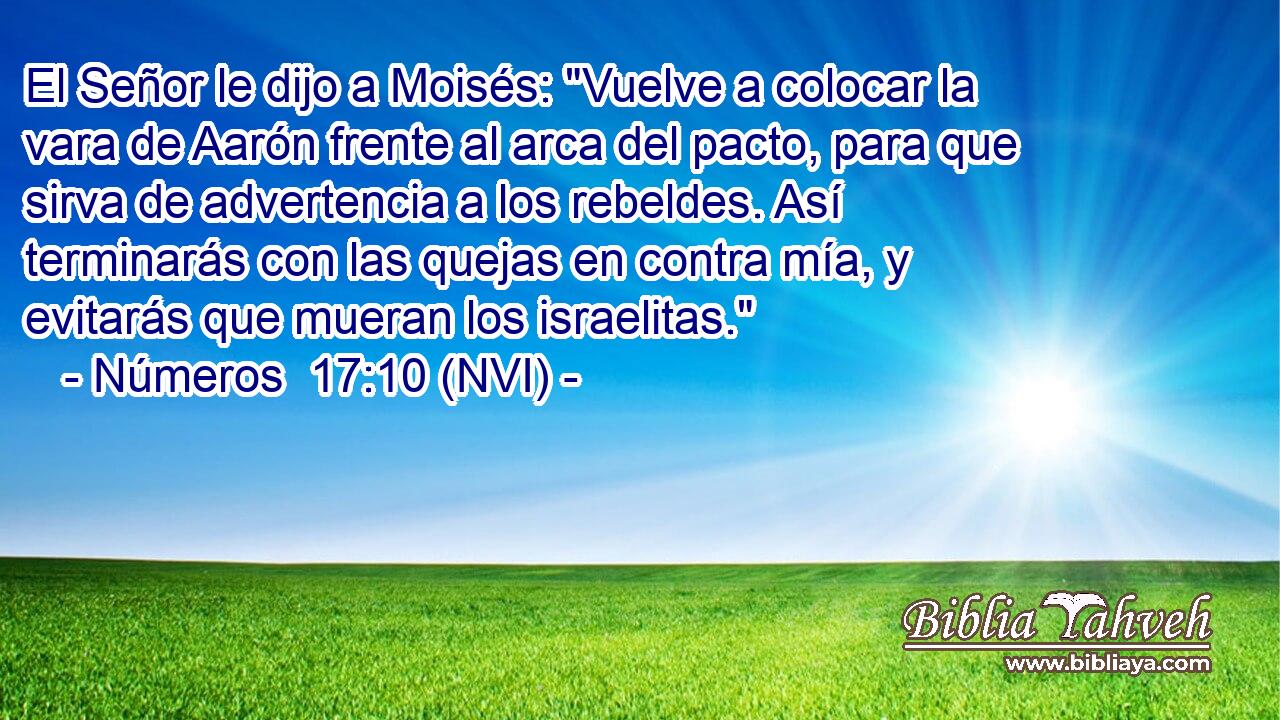  El Señor le dijo a Moisés: 