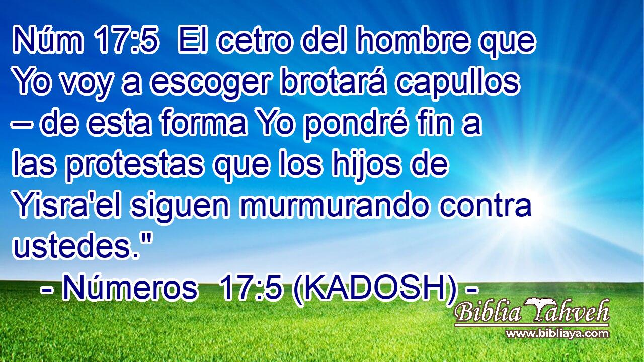  El cetro del hombre que Yo voy a escoger brotará capullos – de esta forma Yo pondré fin a las protestas que los hijos de Yisra'el siguen murmurando contra ustedes.