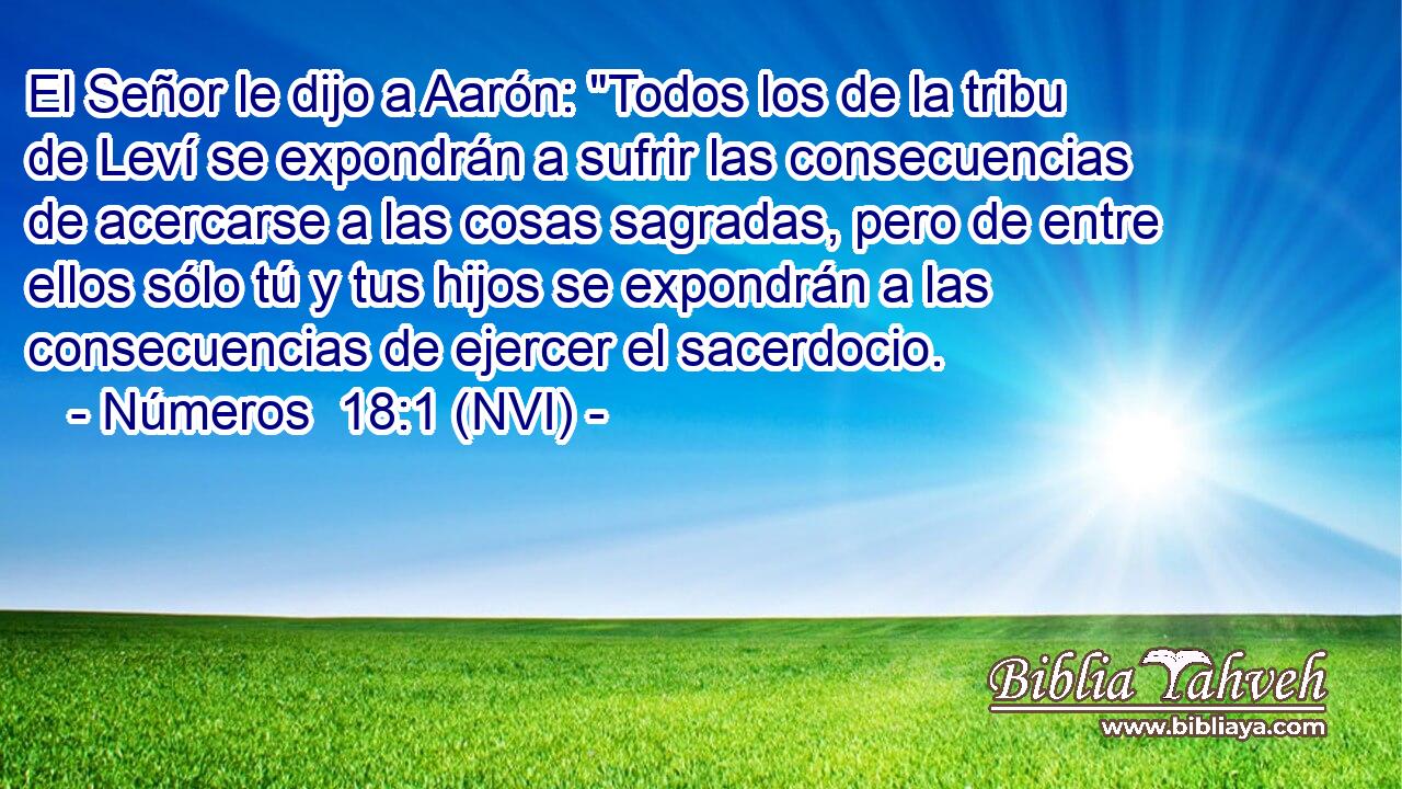 El Señor le dijo a Aarón: 