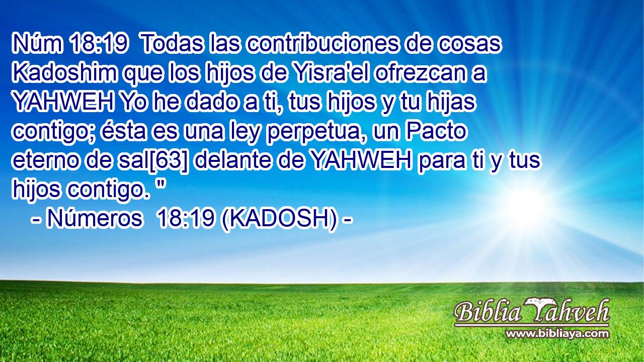  Todas las contribuciones de cosas Kadoshim que los hijos de Yisra'el ofrezcan a YAHWEH Yo he dado a ti, tus hijos y tu hijas contigo; ésta es una ley perpetua, un Pacto eterno de sal[63] delante de YAHWEH para ti y tus hijos contigo. 