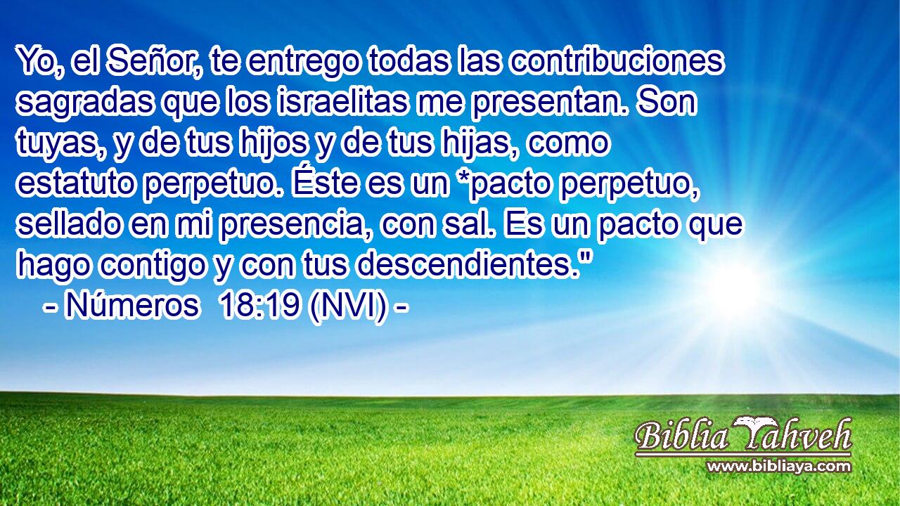  Yo, el Señor, te entrego todas las contribuciones sagradas que los israelitas me presentan. Son tuyas, y de tus hijos y de tus hijas, como estatuto perpetuo. Éste es un *pacto perpetuo, sellado en mi presencia, con sal. Es un pacto que hago contigo y con tus descendientes.